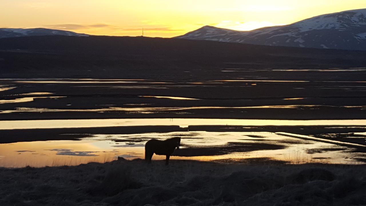Hofsstadir - Country Hotel Hofstaðir Екстериор снимка